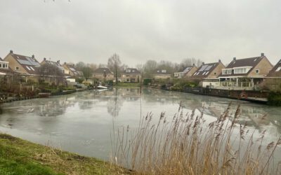 Opgewekt Lelystad betrokken bij project Stadseiland